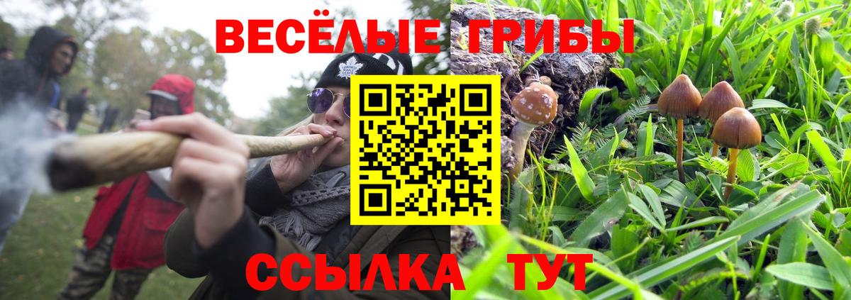 Галлюциногенные грибы Magic Shrooms  Галлюциногенные грибы Psilocybine cubensis  Уварово  Вход с VPN 